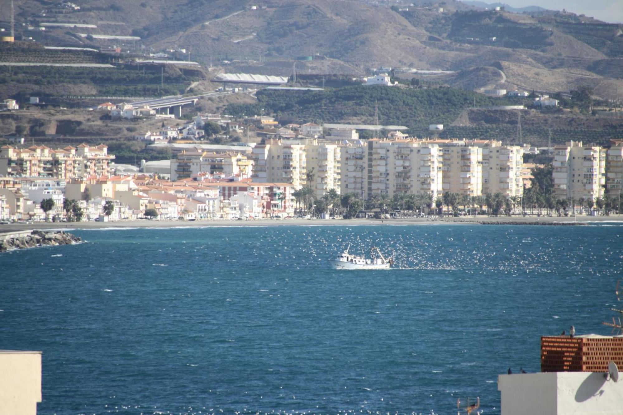 Estudio Plazamar Beach Torre Del Mar Exterior foto